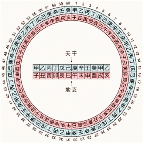 2007天干地支|天干地支对照表